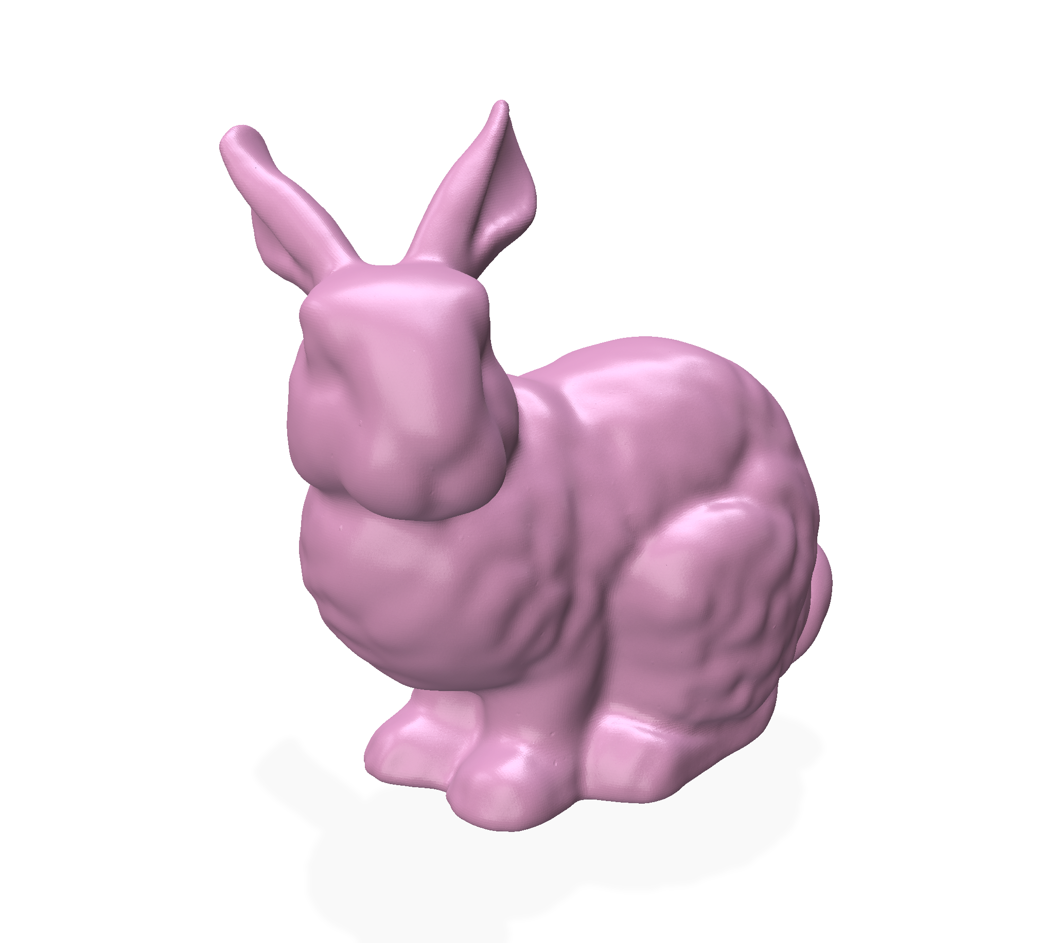Bunny – Input
