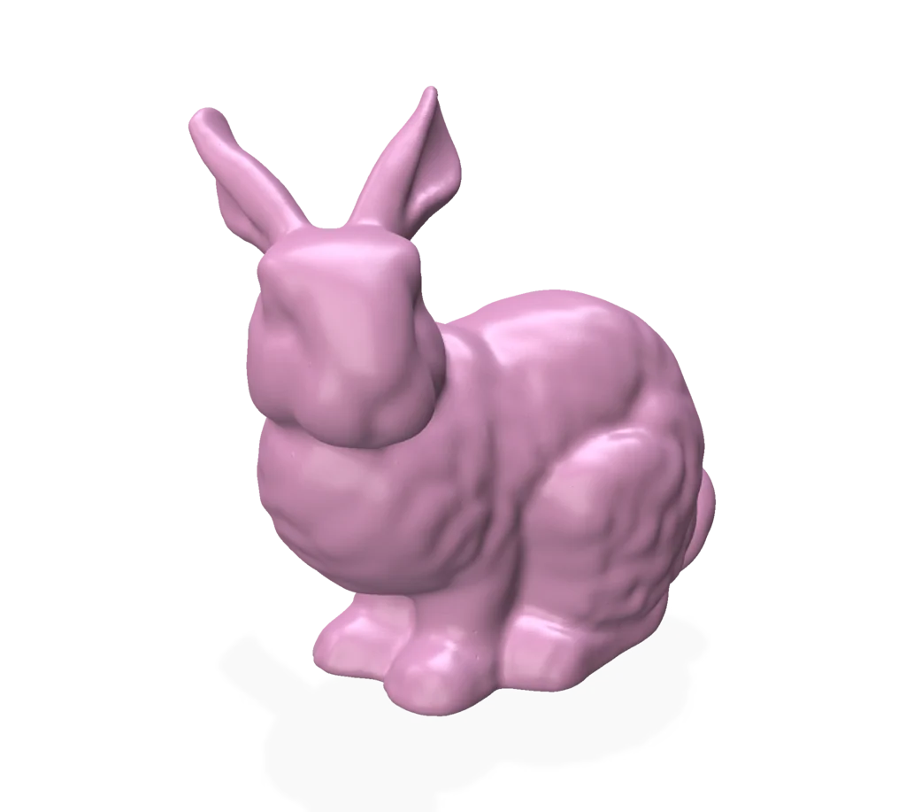 Bunny – Input